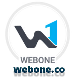 شرکت طراحی سایت وب وان